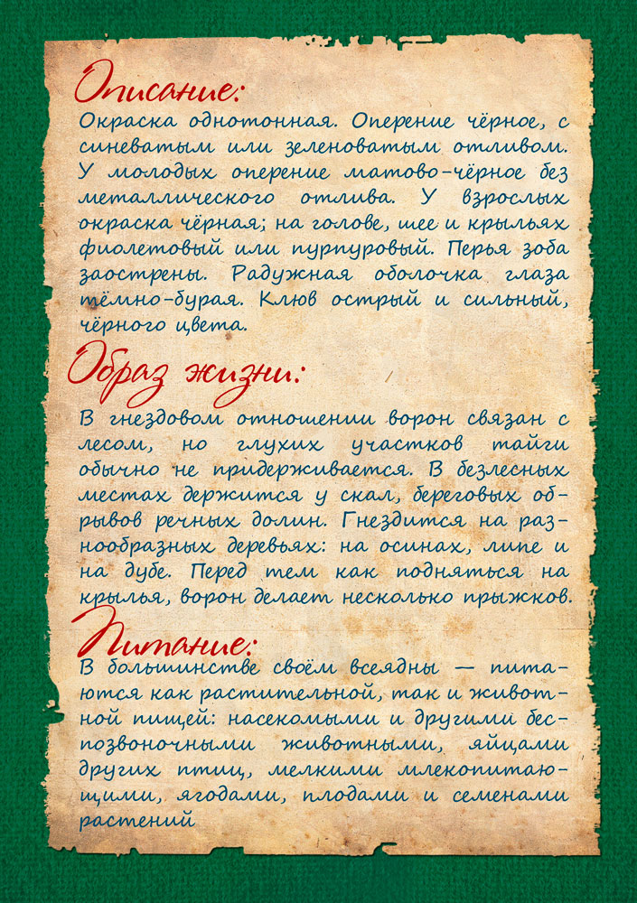 Изображения.