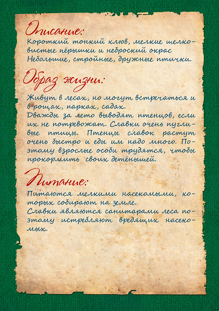Изображения.