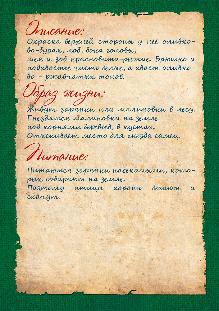 Изображения.