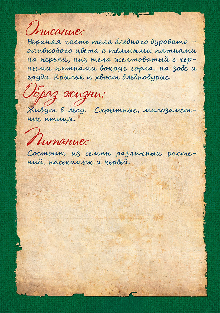 Изображения.