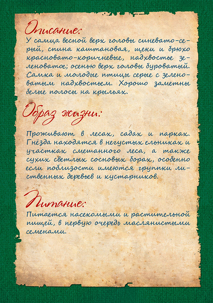 Изображения.