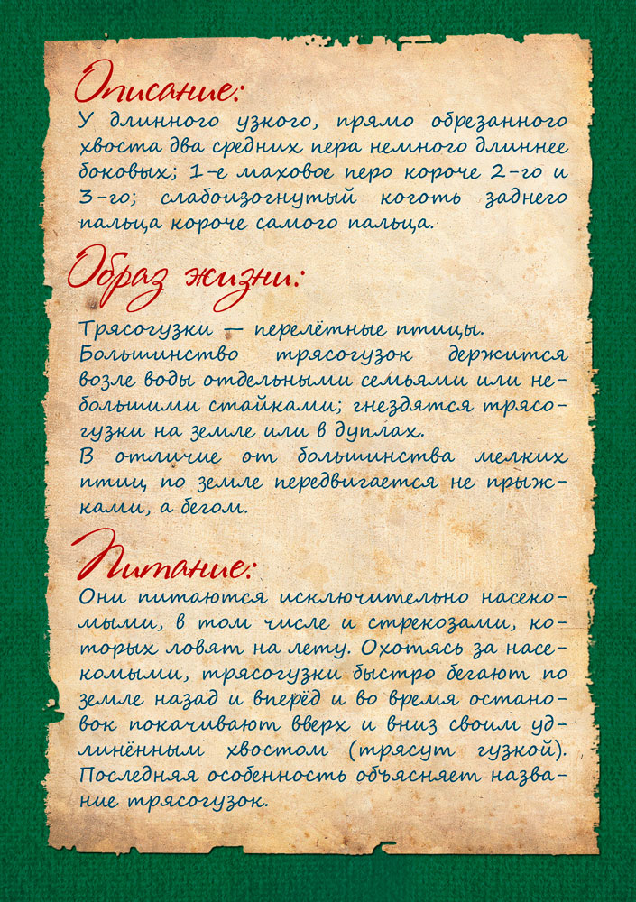 Изображения.