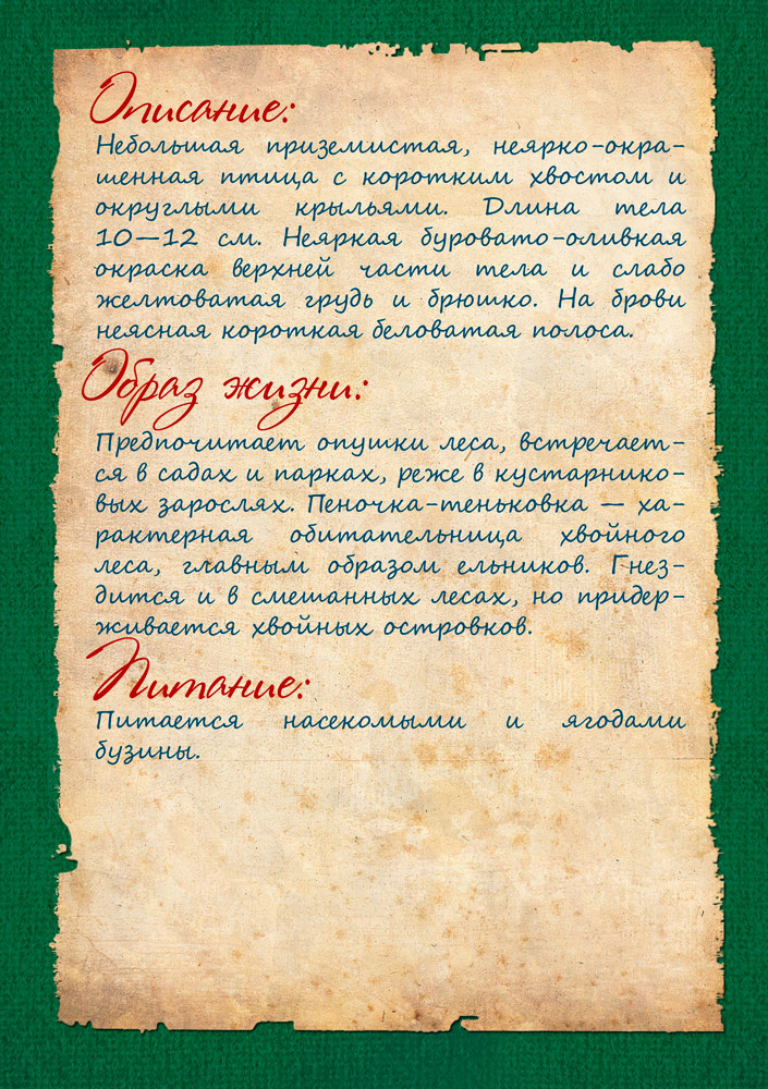 Изображения.