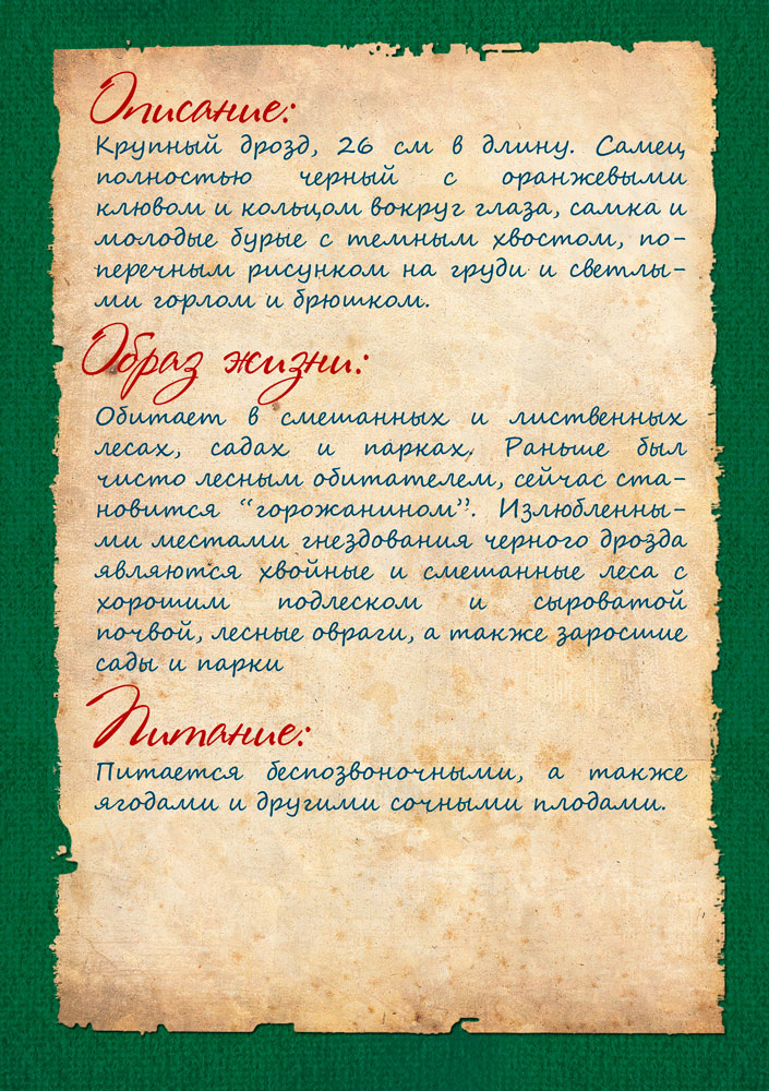 Изображения.